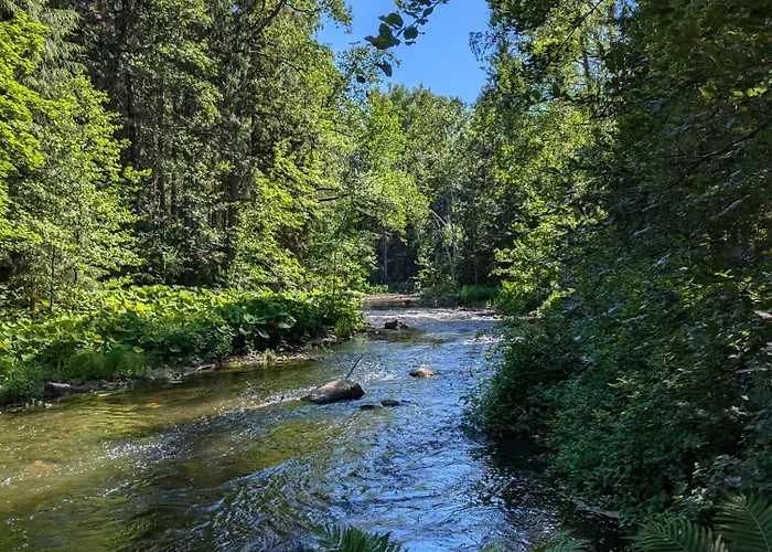 Charming Garden House By The River